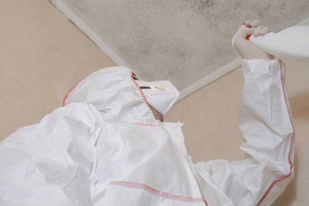 Best Toxic Mold Removal  in Eaton, CO